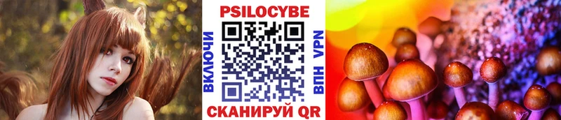kraken как зайти  купить закладку  darknet телеграм  Псилоцибиновые грибы Psilocybe  Бахчисарай 